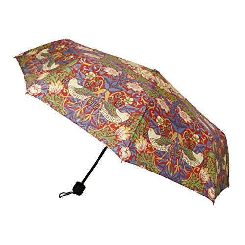 Signare Mode Kompakte Regenschirm Faltbarer Regenschirm fur Damen Stil Modell Erdbeerdieb Rot von Signare