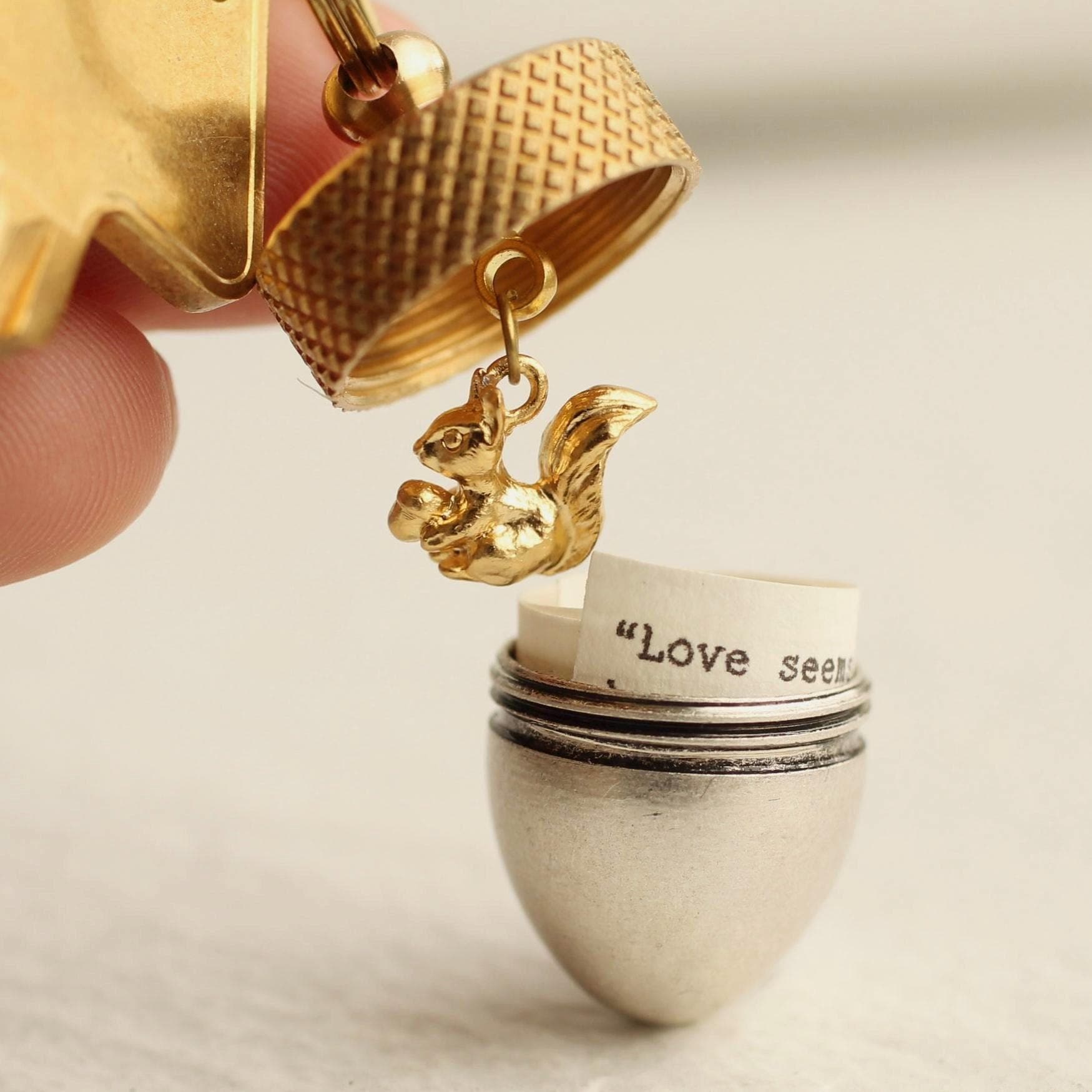 Personalisierte Eichel Locket Schlüsselanhänger Geheime Nachricht, Eichhörnchen Charme von SilkPurseSowsEar