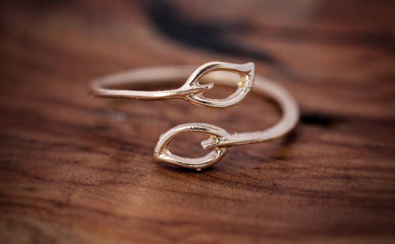 Zweig Mit Blättern Ring 14 Karat Gold Filled von Silvergrams