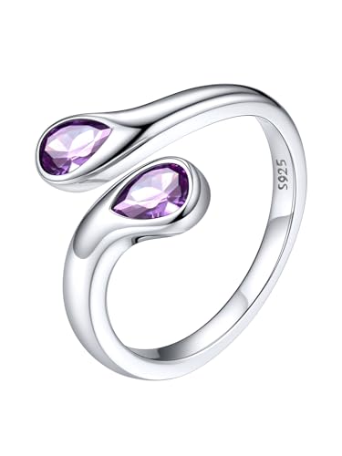 Silvora Ring Silber 925 Damen Verstellbares Amethyst Zirkonia Ringe 2 Geburtsstein Toi Et Moi Verlobungsring Ehering 2mm breit Silberring Damen Geschenke für Valentinstag Geburtstag Muttertag von Silvora