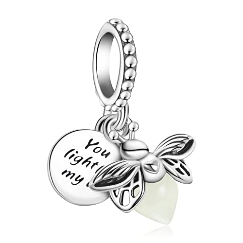 Simphman 925 Sterling Silber Charm Anhänger für Europäischen Armbänder und Halsketten Glow in the Dark Firefly Dangle Charm Geburtstag Schmuck Geschenk für Damen Frauen von Simphman