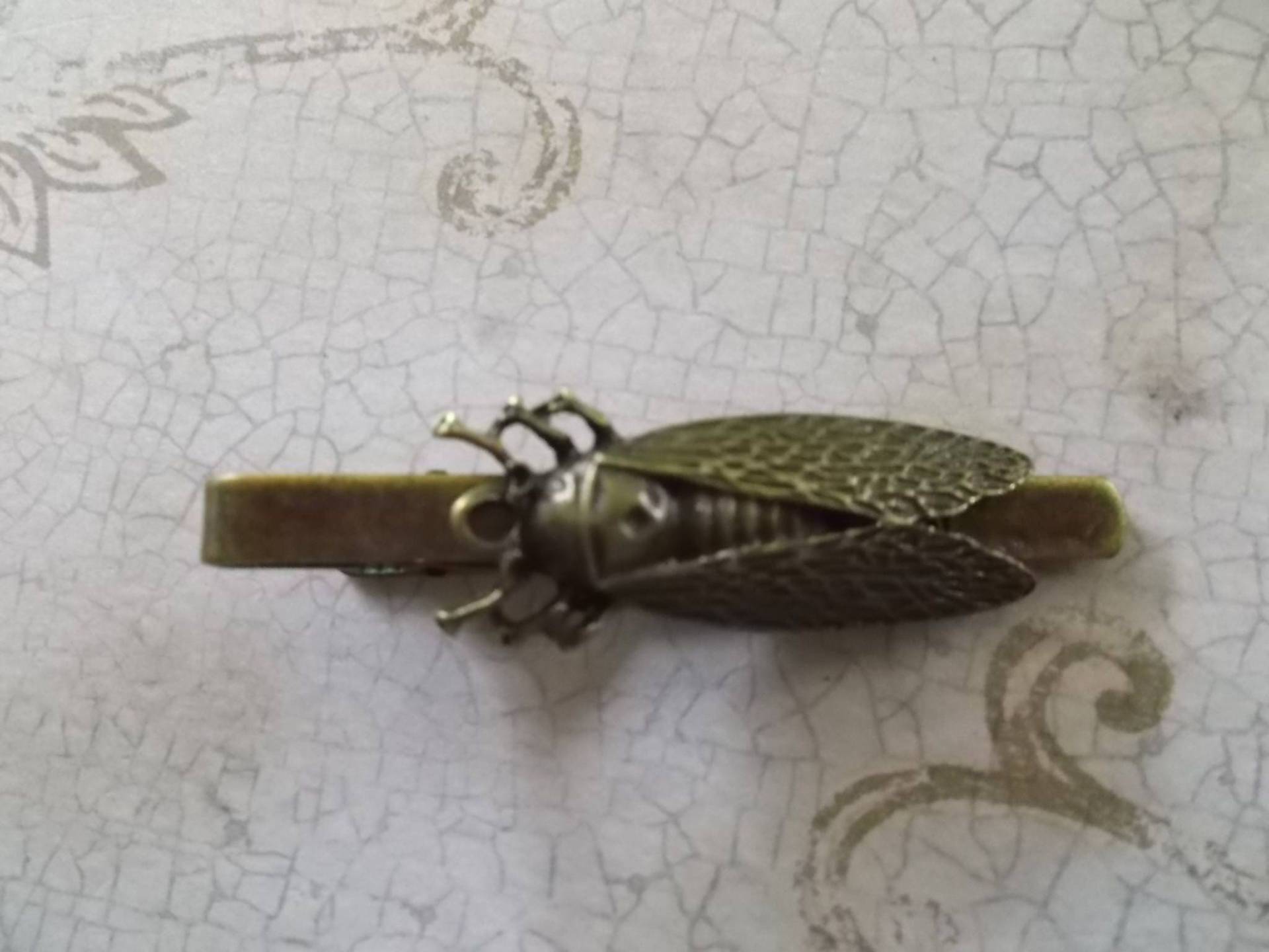 Antik Bronze Zikade Krawattenklammer Bar Pin Großes Geschenk Für Ihn Steampunk Wald Tiere Insekten Graduierung Hochzeit Geburtstag Vatertag Antik Bronze Zikade Krawattenklammer Bar Pin Großes Geschenk Für Ihn Steampunk Wald Tiere Insekten Graduierung Hochzeit Geburtstag Vatertag von SimplyNightOwl
