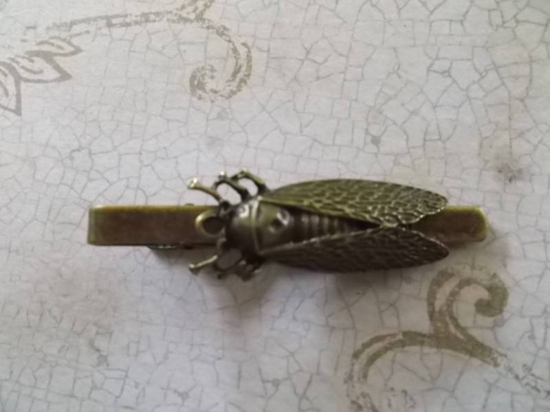Antik Bronze Zikade Krawattenklammer Bar Pin Großes Geschenk Für Ihn Steampunk Wald Tiere Insekten Graduierung Hochzeit Geburtstag Vatertag von SimplyNightOwl