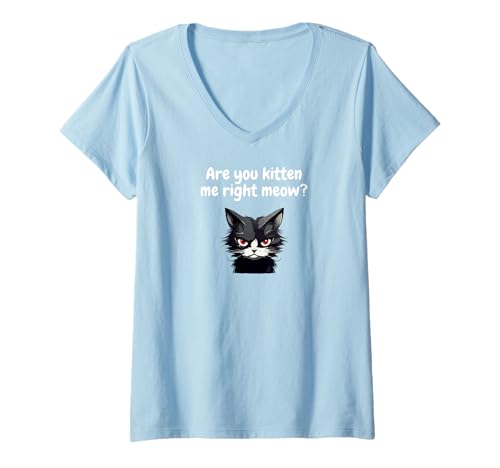 Damen Bist du Kitten Me Right Meow? T-Shirt mit V-Ausschnitt von SiosBox