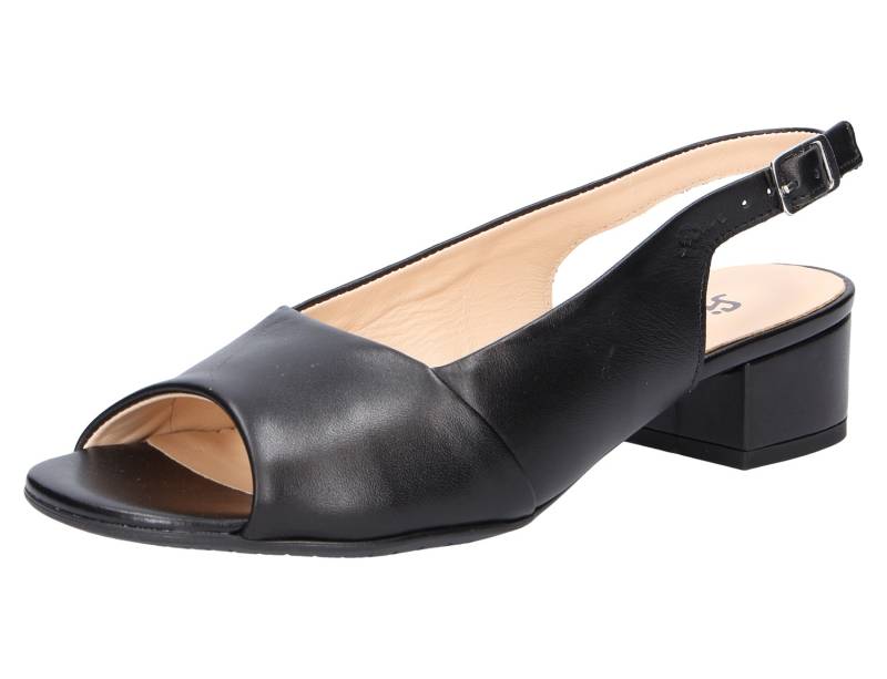 - Zippora Schwarz - 17-006-1-29-01 : 5½ 6 von Sioux