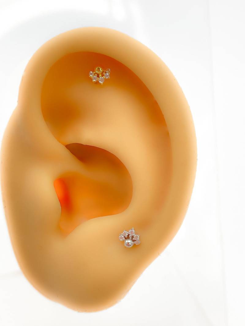 Flat Back Helix #124 925 Silber Vergoldet Mini Tiny Klein Piercing Minimalistisch Conch von Siristat