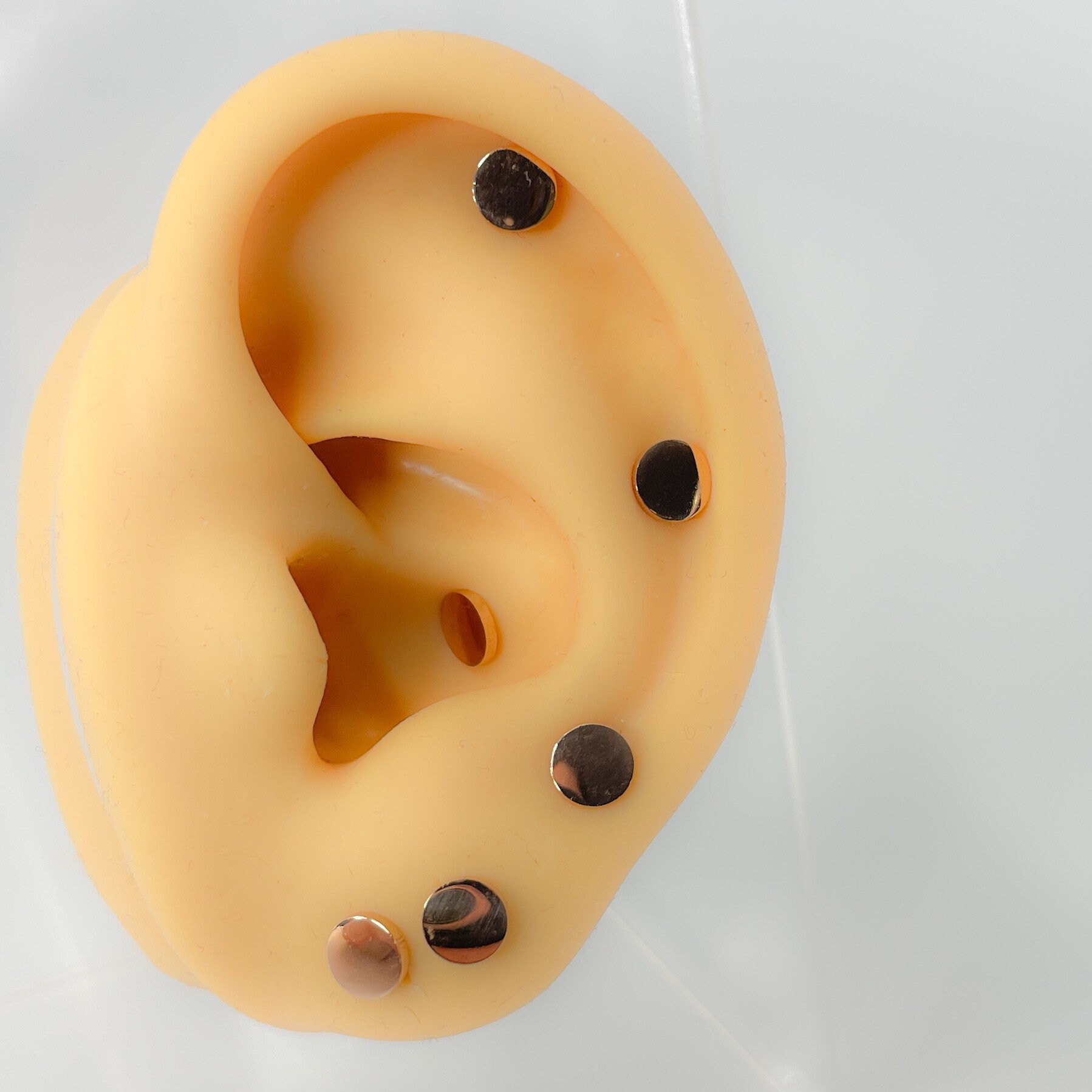 Stud Plate Stainless Steel Tragus Barbell Flat Piercing Rund Ohrringe Schmuck Minimalistisch Rosé Vergoldet Nr.114 von Siristat