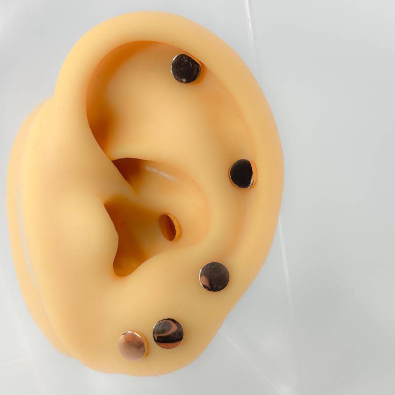 Stud Plate Stainless Steel Tragus Barbell Flat Piercing Rund Ohrringe Schmuck Minimalistisch Rosé Vergoldet Nr.114 von Siristat