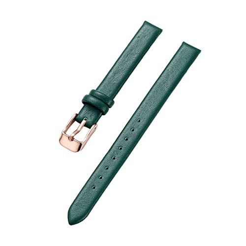 Armband Rindsleder Echtes Leder 8-22mm Glatt Damen Herren Uhrenarmband mit Werkzeug, Grüne Rose, 10mm von Sjzwt