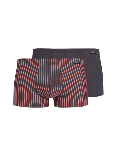Skiny Herren Pants 2er Pack Cotton Advantage 086975 Gr. XL in Iron Stripes Selection von Skiny