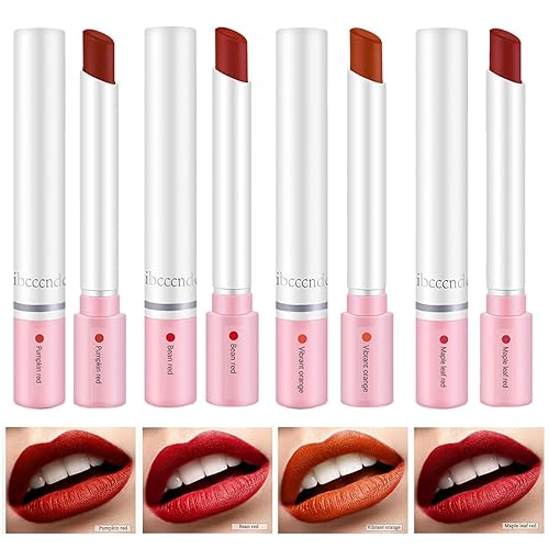 Matte Lippenstift Set - 4 Stück lippenstift, Matte Lip Gloss, Wasserdichte Langlebige Lippenstift Samtige Matte Lipgloss Set,wasserfester, antihaftbeschichteter Lippen von Sloane