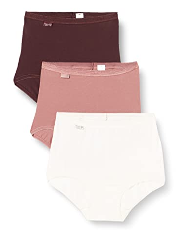sloggi Damen Basic+ Maxi C3P Holiday Slip, Brown - Light Combination, 44 von Sloggi