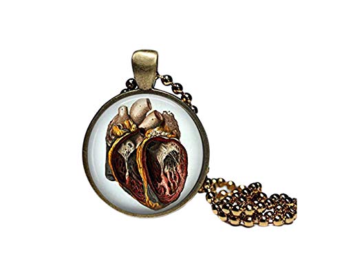 Anatomische Herz Charm Halsketten Schmuck, Kuppel Glas, handgefertigt, ein schönes Geschenk. von Small Elf