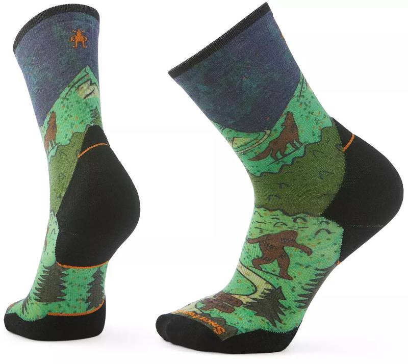 Trail Run Targeted Cushion Neature Men von SmartWool