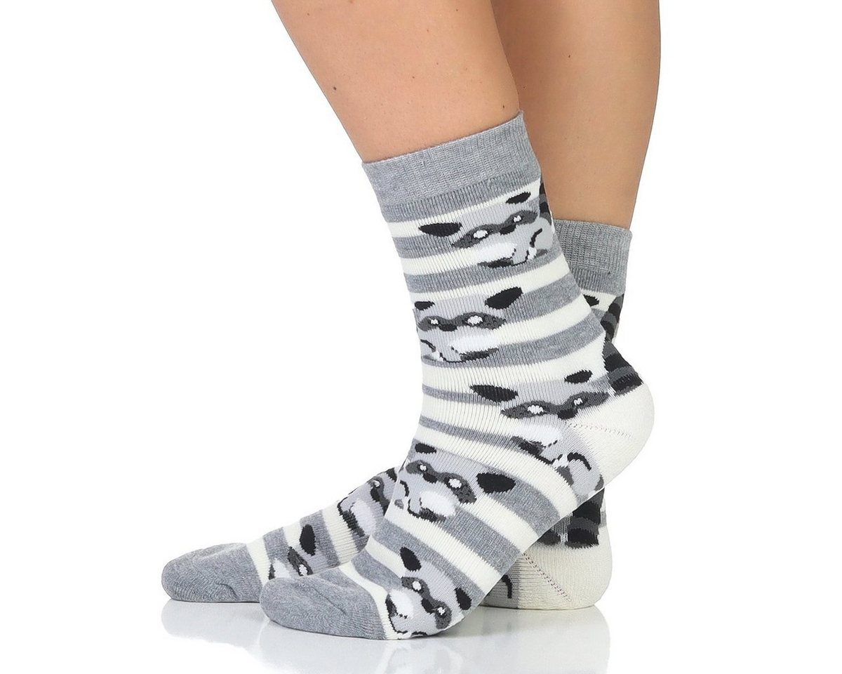 Sockenhimmel Thermosocken Damen Wintersocken Waschbär gestreift warme Socken & Strümpfe (6er Pack) hautfreundlich, wärmend von Sockenhimmel