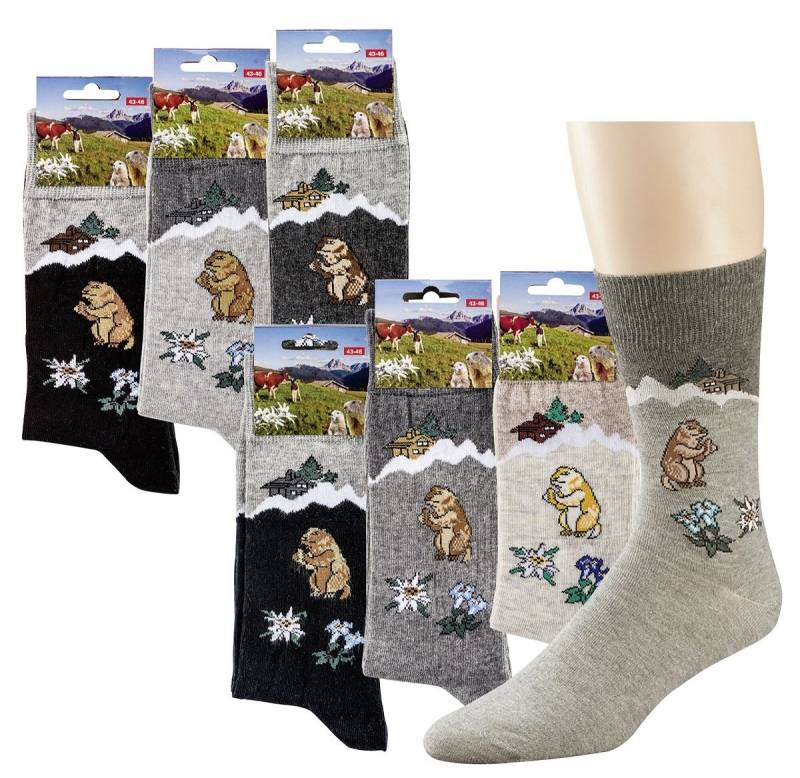 Socks 4 Fun Freizeitsocken Socken Motiv Murmeltier (1-Paar) von Socks 4 Fun
