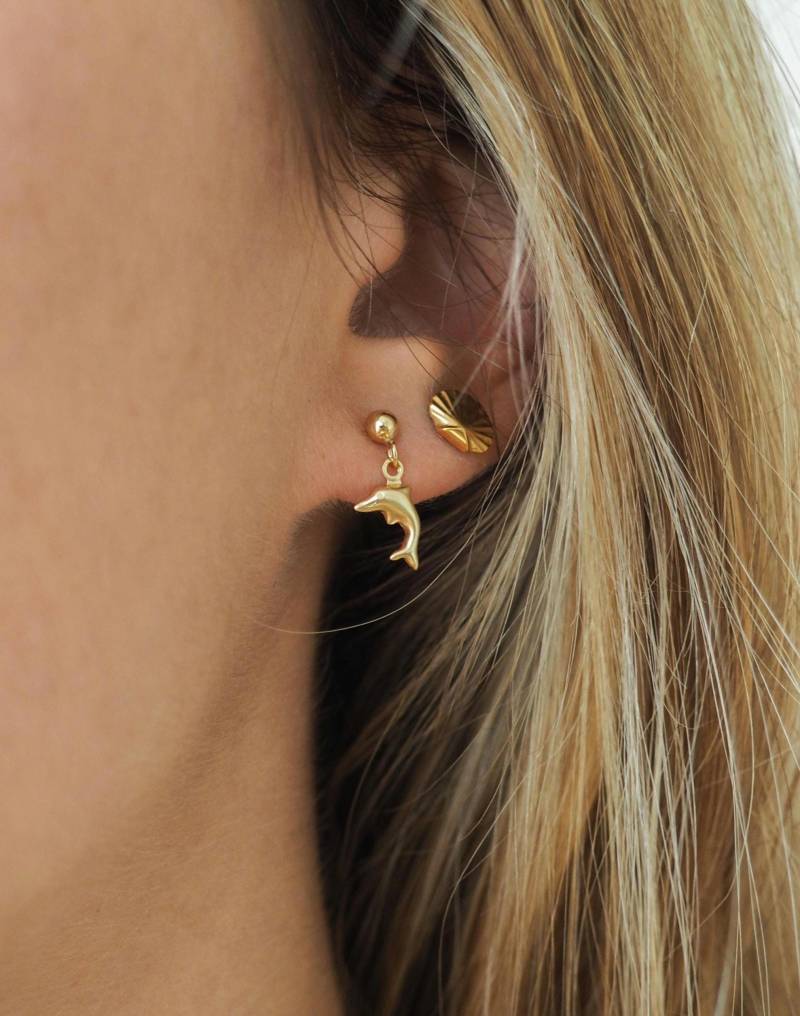 Ear Studs "Dolphin" Gold Filled Ear Studs Earrings With Tiny Dolphin Charms Ohrstecker Mit Delfin Charms von Solilunastore