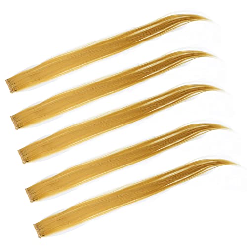 5 Stück Farbige Haarspange, 5 Farben Haarverlängerung Gerade Lockige Haarspange für Frauen Kleid Party oder Alltagskleidung und Cosplay Act (Gold) von Sonew