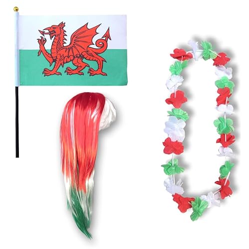 Sonia Originelli Fanset Fanartikel Fahne Perücke Blumenkette Hawaiikette WM EM Farbe: Wales LH von Sonia Originelli