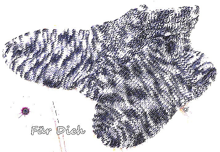 Handgestrickte Kinder-Socken Gr. 30/31 Sportsocken Freizeitsocken Strümpfe Ks4190 von Sonnenblume1547