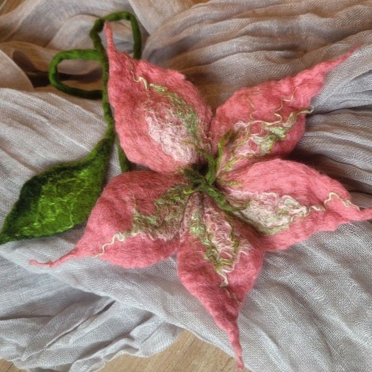 Filzblüte Sternenform Aus Feiner Wolle Verschiedene Farben Stehen Zur Auswahl Filzblüte Sternenform Aus Feiner Wolle Verschiedene Farben Stehen Zur Auswahl von Sonnentaucher