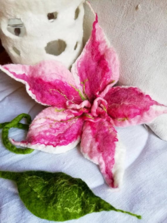 Filzblüte Sternenform Verschiedene Farben Stehen Zur Auswahl von Sonnentaucher