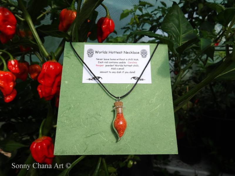 Worlds Hottest Halskette - Fläschchen Enthalten Verwendbares Carolina Reaper Pulver von SonnyChanaArt