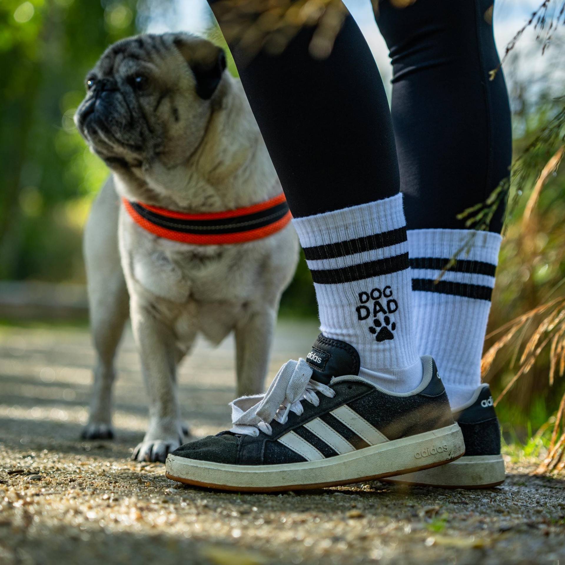 Bestickte Socke Dog Dad I Geschenk Für Hundepapas Lustige Socken Bestickte Socke Dog Dad I Geschenk Für Hundepapas Lustige Socken von SophieStickt