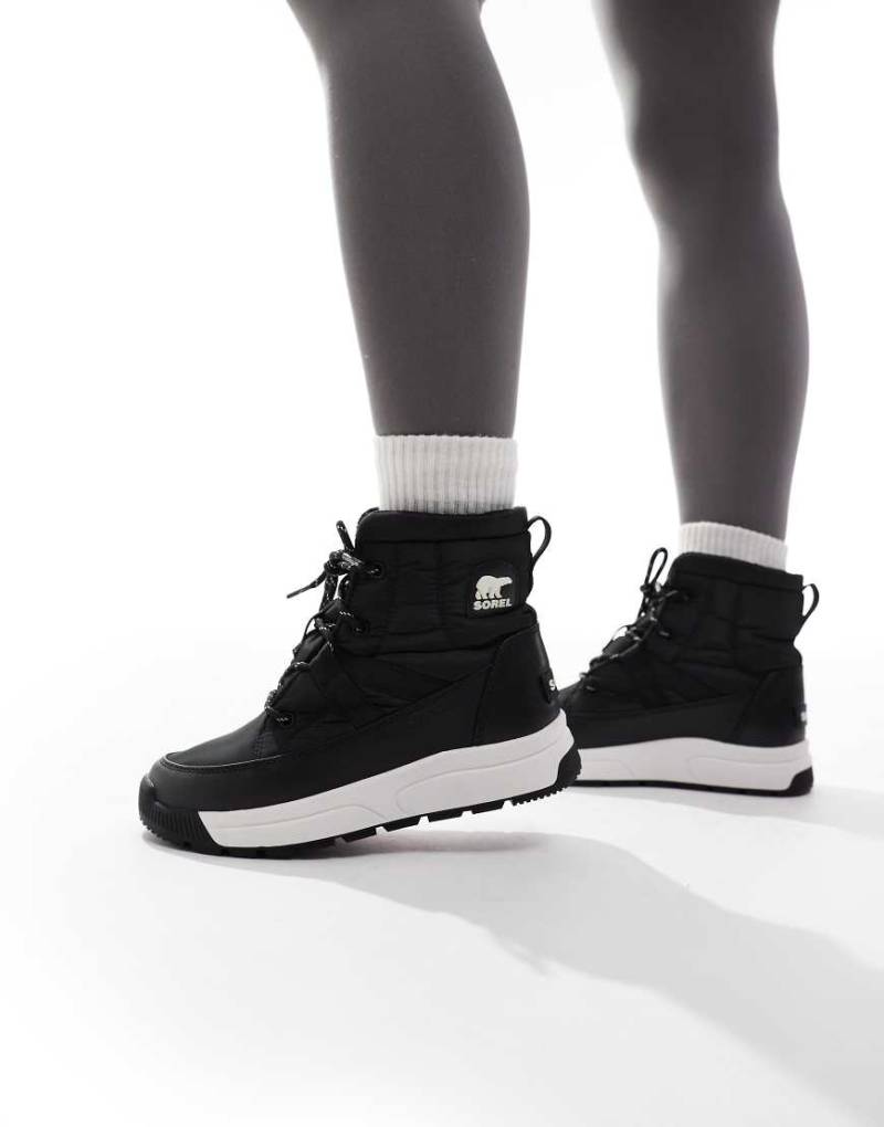 Sorel - Whitney III - Mittelhohe Winterstiefel in Schwarz und Creme von Sorel