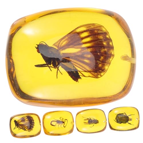 Sosoport 5 Stück Teiliges Insekten spezimen Anhänger aus Hochwertigem Resin Vorgebohrt für DIY Schmuckherstellung Einzigartiger Natürlicher Bernstein look als Ohrring Schmuckornament von Sosoport