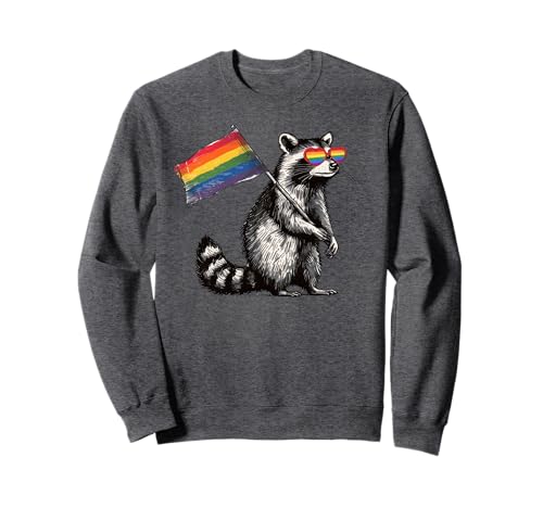 Lustiger Waschbär Gay Pride LGBTQ Regenbogen-Flagge Männer Frauen Kinder Sweatshirt von Sounds Gay I'm In Funny Possum LGBT Pride Rainbow