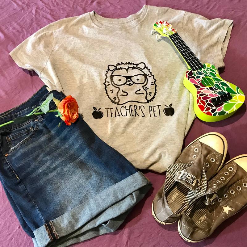 Lehrer Haustier Igel T-Shirt Lehrer Haustier Igel T-Shirt von SouthCarolinaChic