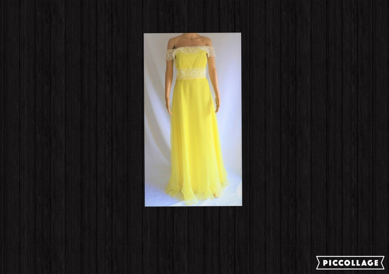 1950S Sylvia Ann Kleid Mit Spitze, Taft Und Reifrock 1950S Sylvia Ann Kleid Mit Spitze, Taft Und Reifrock von SouthernPoshShop