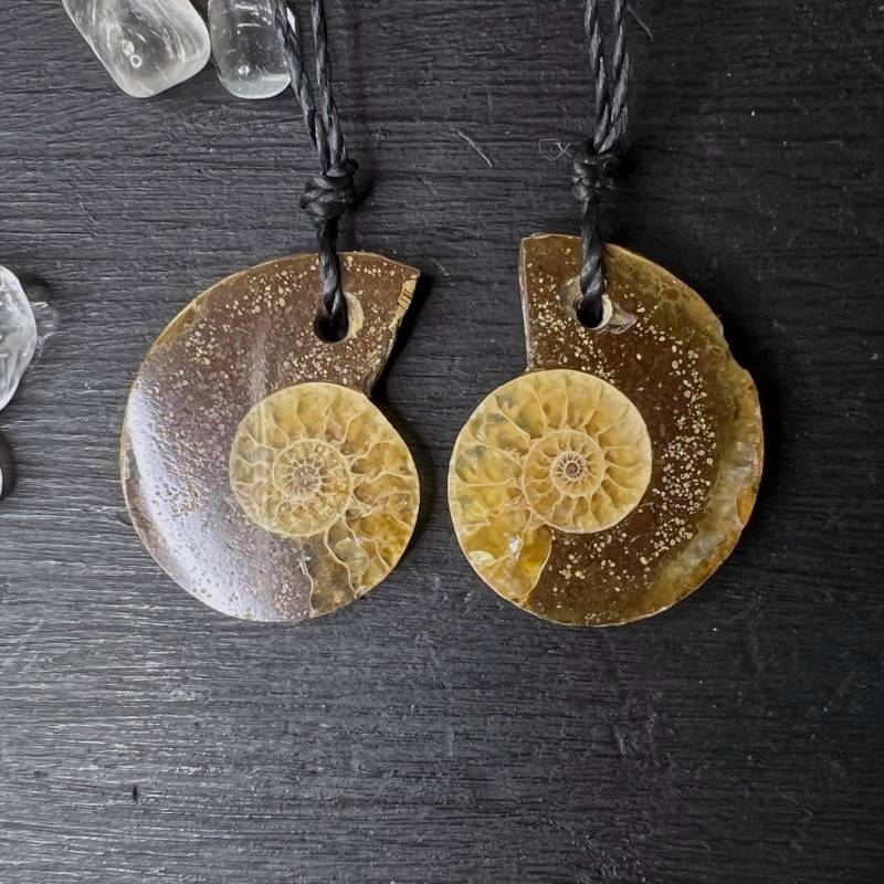 Ammonit Freundschafts-Anhänger | Regenbogen Fossilien Set Cleoniceras Chakra Kette Geschenk Steinbock Wassermann von Sparklinginside