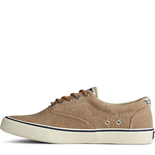 Sperry Men's, Striper II CVO Sneaker von Sperry