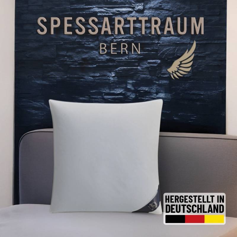 SPESSARTTRAUM 3-Kammer-Kopfkissen "Bern Kissen 40x80cm, 80x80cm" Füllung: 60% Daunen & 40 % Federn (Außenkammer) 1 Stk. tlg. Kissen Made in Germany und die Füllung ist zertifiziert vom Downpass von Spessarttraum