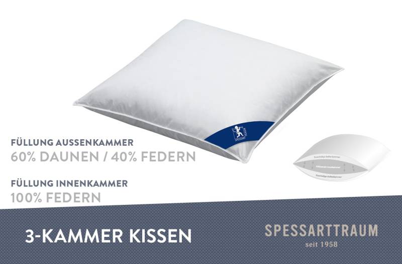 SPESSARTTRAUM 3-Kammer-Kopfkissen "Bern Kissen 40x80cm, 80x80cm", Füllung: 60% Daunen & 40 % Federn (Außenkammer), Bezug: 100% Baumwolle, (1 St.), Kissen Made in Germany und die Füllung ist zertifiziert vom Downpass von Spessarttraum
