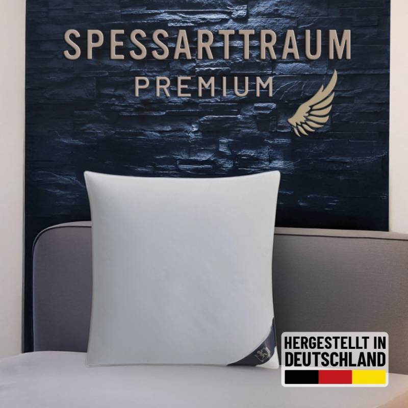 SPESSARTTRAUM Gänsedaunenkopfkissen "Premium, Kopfkissen 1-tlg. oder 2-tlg. 40x80 oder 80x80 cm" Füllung: 60Gaensedaunen40Gaensefedern 1 Stk. tlg. hergestellt in Deutschland, allergikerfreundlich, im Set günstiger von Spessarttraum