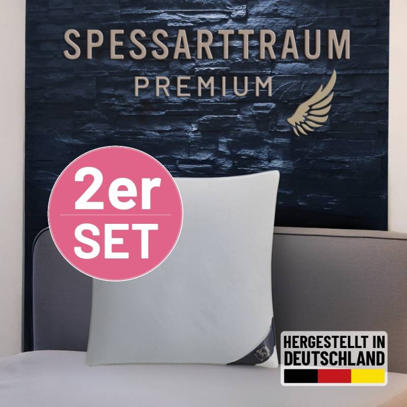 SPESSARTTRAUM Gänsedaunenkopfkissen "Premium, Kopfkissen 1-tlg. oder 2-tlg. 40x80 oder 80x80 cm" Füllung: 60Gaensedaunen40Gaensefedern 2 Stk. tlg. hergestellt in Deutschland, allergikerfreundlich, im Set günstiger von Spessarttraum