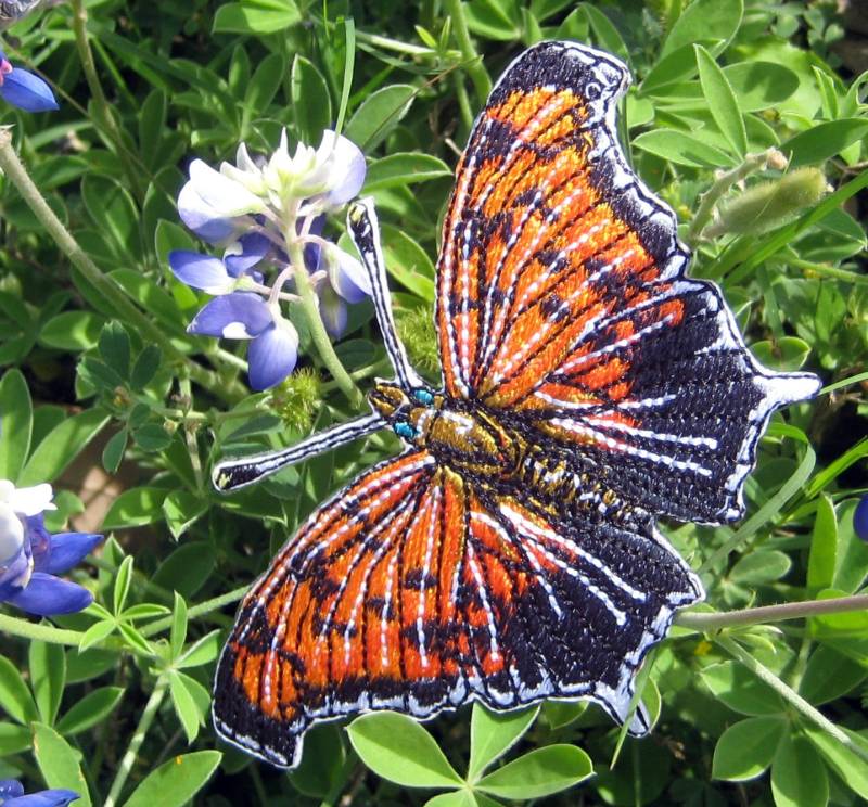 Das Fragezeichen Schmetterling Polygonia Verhört Ist Eisen Auf Oder Nähen Patch von SpiderStitchesParlor