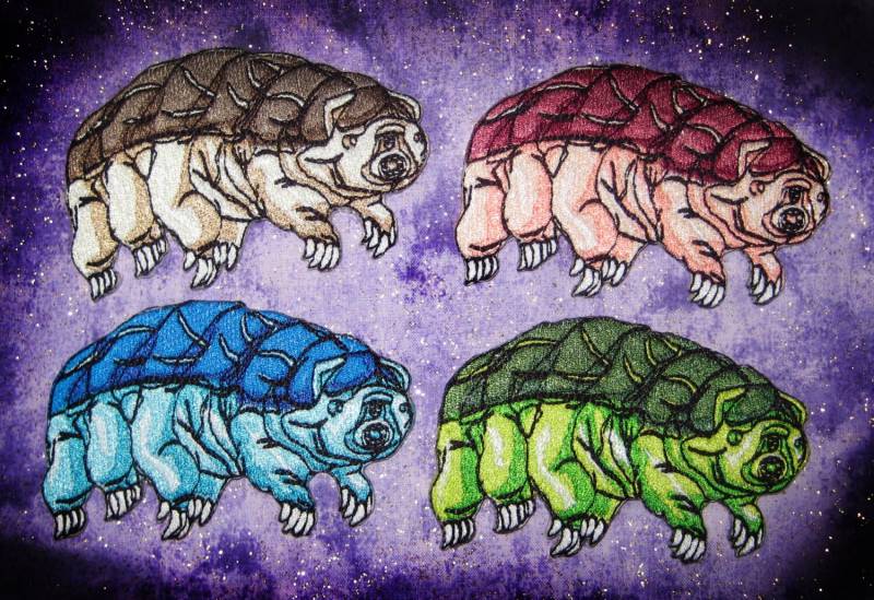 Dieser Patch Kommt in Einer Wunschfarbe von SpiderStitchesParlor