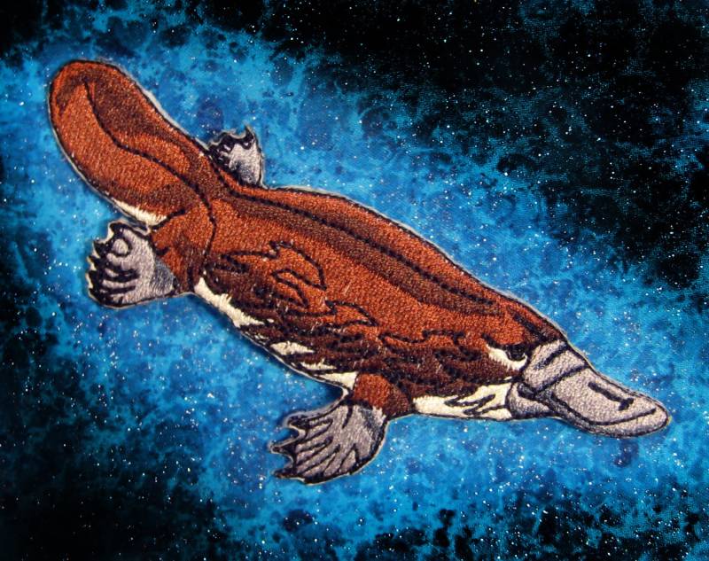 Duck-Billed Schnabeltier Aufnäher von SpiderStitchesParlor