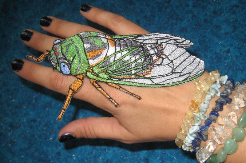 Ehrfürchtig Zikade Insekt Eisen Auf Patch von SpiderStitchesParlor