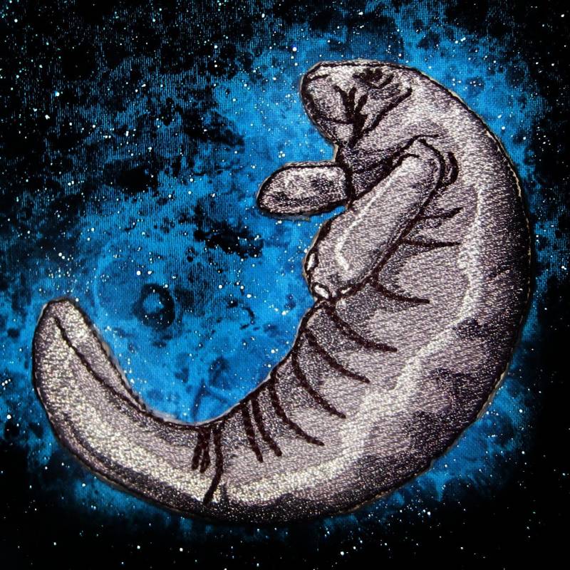 Entzückende Manatee Eisen Auf Patch von SpiderStitchesParlor