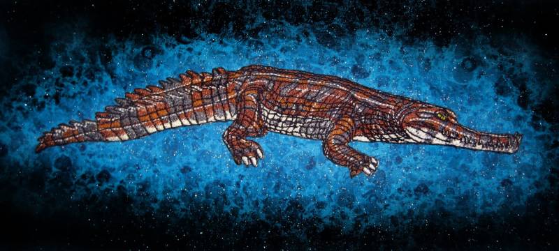 Falsche Gharial Tomistoma Schlegelii Eisen Auf Patch Applikation Gator von SpiderStitchesParlor