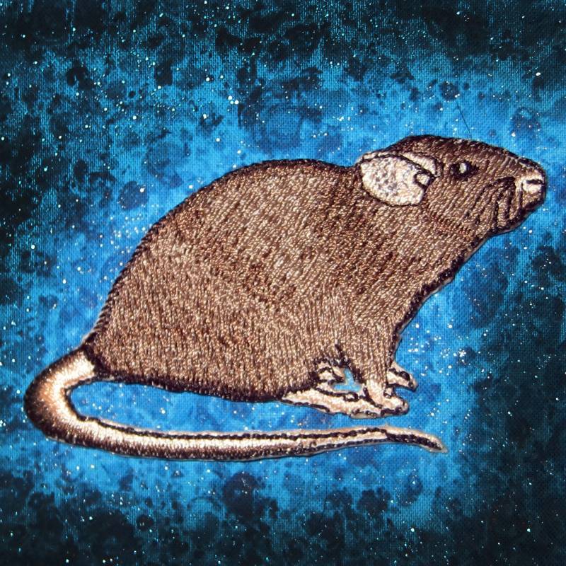 Fancy Dumbo Ohr Rat Agouti Steam Punk Eisen Auf Patch von SpiderStitchesParlor