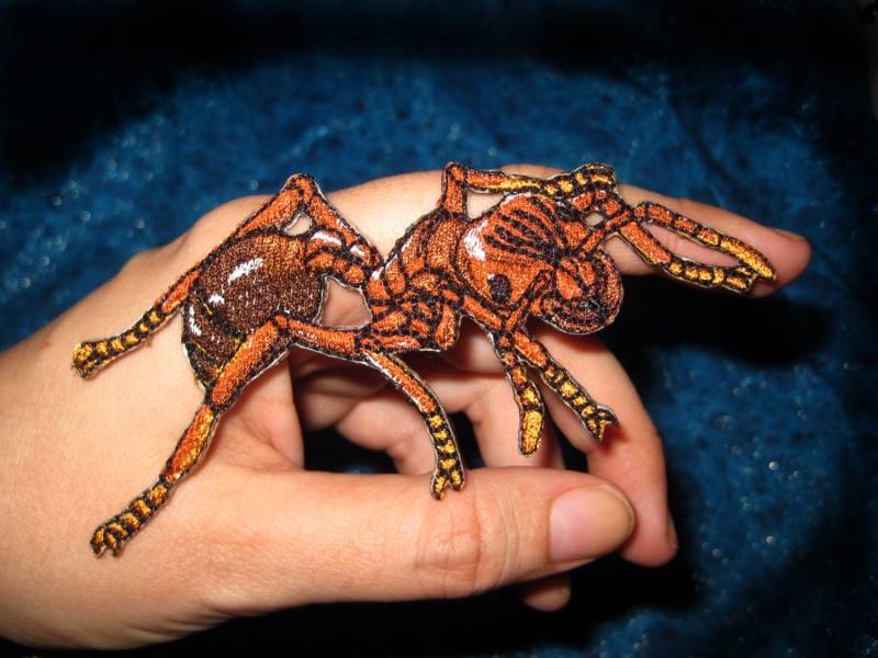 Feuer Ameisen Feuerant Solenopsis Invicta Eisen Auf Patch Applikation von SpiderStitchesParlor