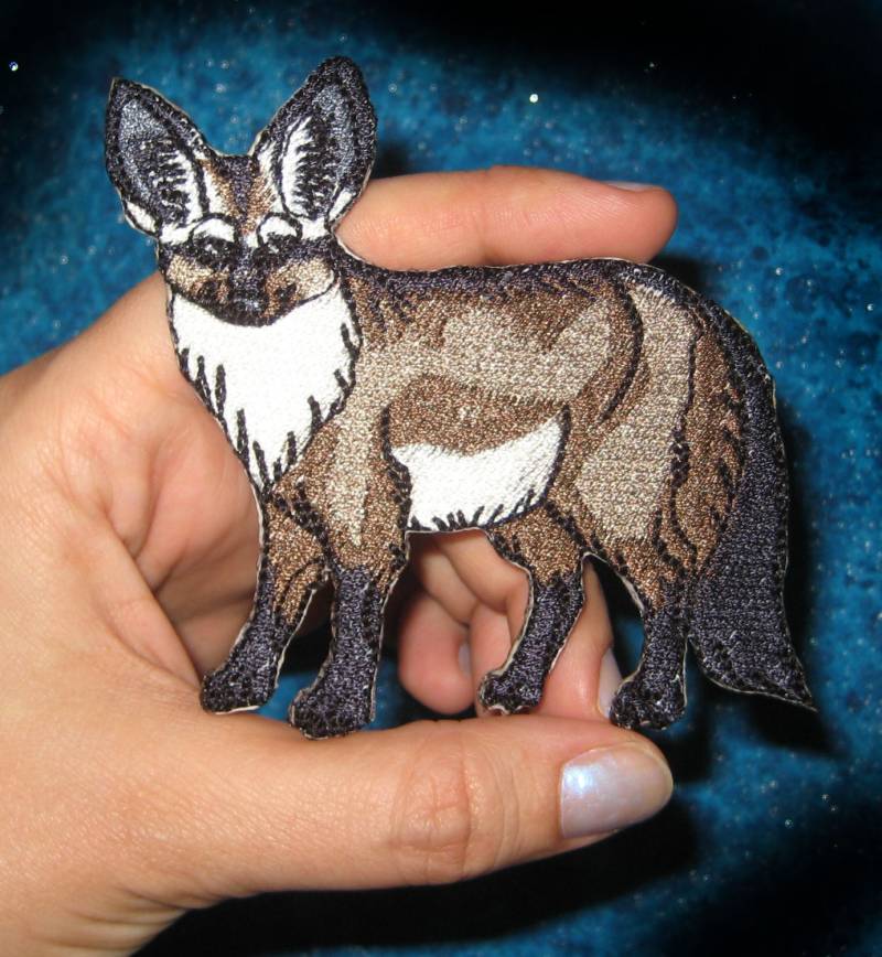 Fledermaus Eared Fuchs Fledermaus-Eared Otocyon Megalotis Eisen Auf Patch von SpiderStitchesParlor