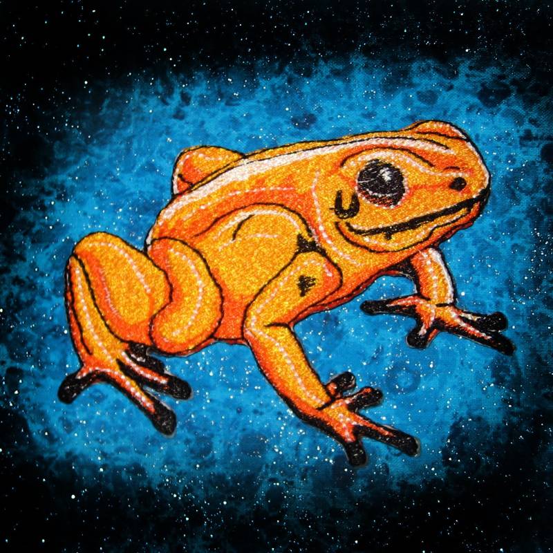 Gift Pfeil Dart Frosch Orange Phyllobates Terribilis Eisen Auf Patch von SpiderStitchesParlor