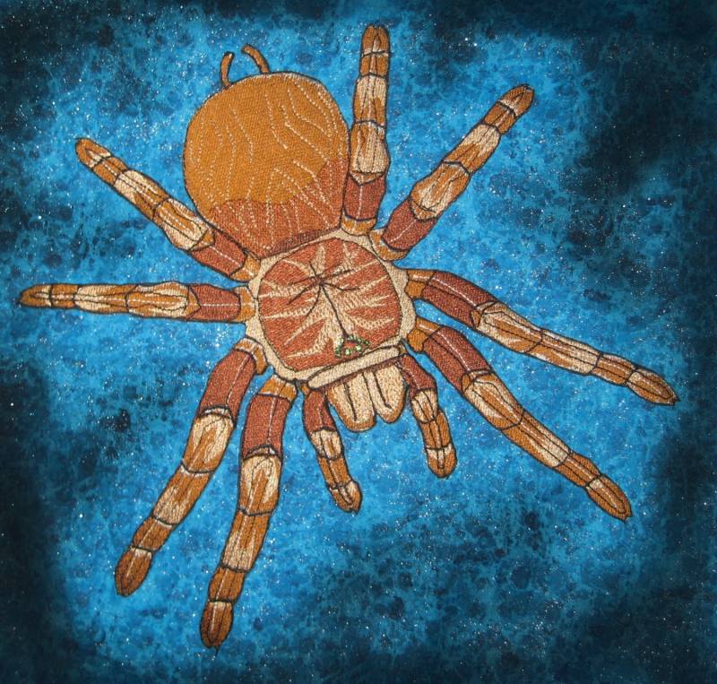 Goliath Vogelfresser Vogelspinne Patch von SpiderStitchesParlor
